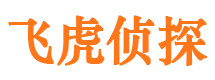 新源市侦探公司